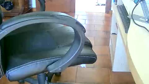 Snapshot of tobikoyuzu chatting on February 2026 03:29:02 PM Tobiko online show from February 2026 03:29:02 PM