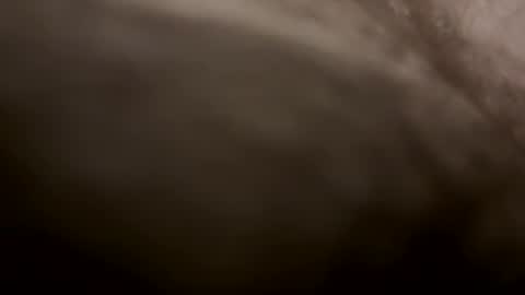 Snapshot of toesturnmeon chatting on October 2025 07:29:01 AM toesturnmeon online show from October 2025 07:29:01 AM