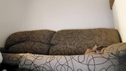 Snapshot of toffbuck chatting on February 2026 04:49:02 AM ToffBuck online show from February 2026 04:49:02 AM