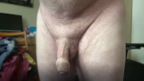 Snapshot of togbear chatting on October 2025 08:34:01 AM Togbear online show from October 2025 08:34:01 AM