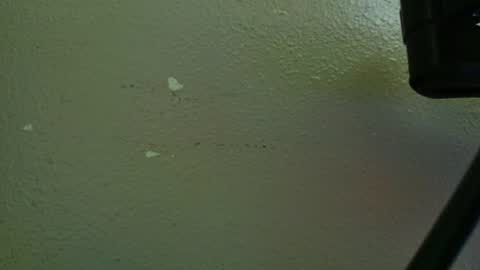 tokensarefun12801 online show from June 2026 11:41:01 AM