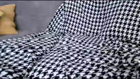 Bima online show from October 2025 09:01:01 AM