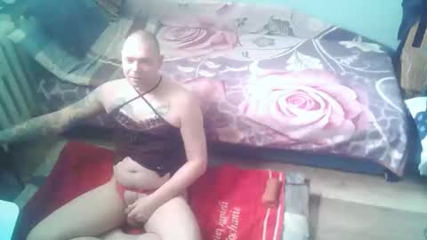 Tomek online show from May 2026 02:22:01 PM