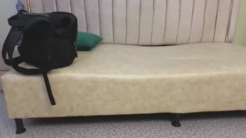 Tomas online show from March 2026 08:03:02 AM