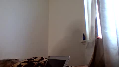 tommyandtomara online show from May 2026 08:41:01 AM