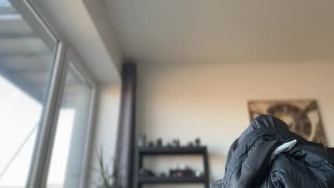 Thomas Fit online show from February 2026 09:08:02 AM