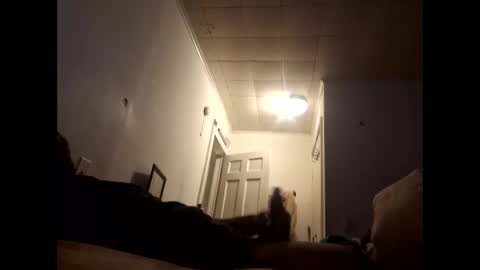 Snapshot of tonetanight chatting on February 2026 04:22:02 PM tonetanight online show from February 2026 04:22:02 PM