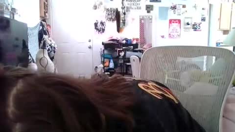 Tonka Wilde online show from February 2026 05:20:02 PM