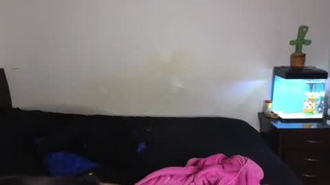 Sophia  Tony online show from July 2026 12:02:02 AM