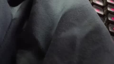 Snapshot of tonysafari chatting on February 2025 01:38:02 PM tonysafari online show from February 2025 01:38:02 PM