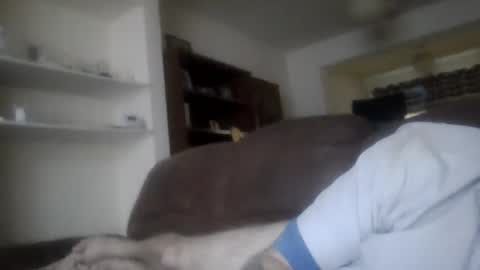 topfoxs30 online show from February 2025 04:42:02 PM