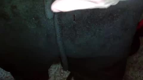 Snapshot of topg84 chatting on December 2024 02:59:01 PM Topg84 online show from December 2024 02:59:01 PM