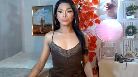 Snapshot of toptrans_venice chatting on April 2026 12:16:02 AM toptrans venice online show from April 2026 12:16:02 AM
