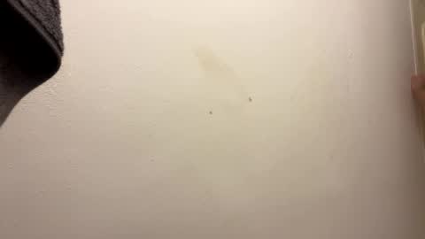 Snapshot of toronto5656 chatting on January 2025 06:46:02 AM toronto5656 online show from January 2025 06:46:02 AM