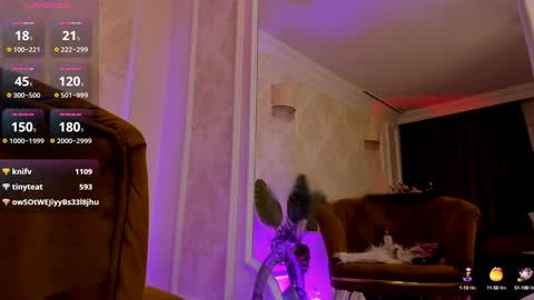 Snapshot of torri_kitten chatting on December 2024 08:33:02 AM torri kitten online show from December 2024 08:33:02 AM