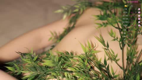 Toshi online show from February 2025 01:03:02 PM