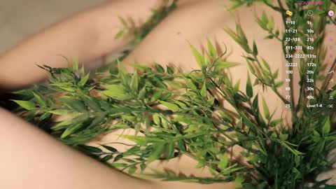 Snapshot of toshimori chatting on December 2025 01:05:02 PM Toshi online show from December 2025 01:05:02 PM