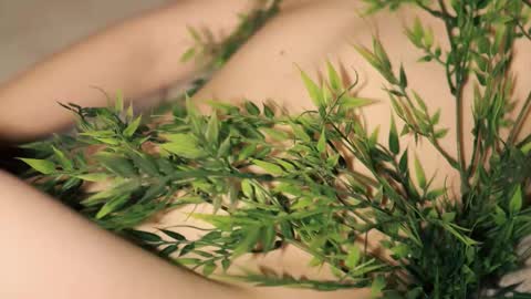 Snapshot of toshimori chatting on January 2026 01:05:02 PM Toshi online show from January 2026 01:05:02 PM