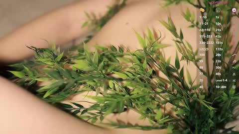 Snapshot of toshimori chatting on January 2026 01:04:01 PM Toshi online show from January 2026 01:04:01 PM