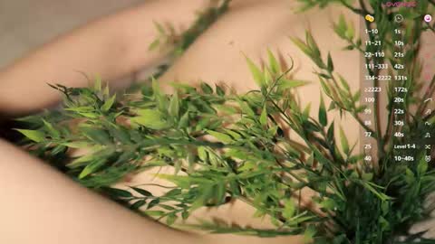 Snapshot of toshimori chatting on February 2026 01:03:02 PM Toshi online show from February 2026 01:03:02 PM