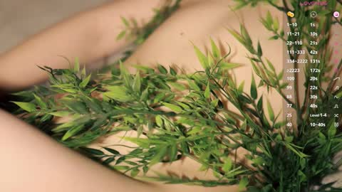 Toshi online show from March 2026 01:04:02 PM