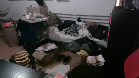 Totox online show from December 2024 07:43:01 PM