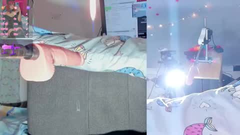 Snapshot of touk_kira chatting on February 2026 11:37:01 PM touk_kira online show from February 2026 11:37:01 PM