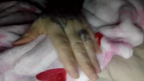 Snapshot of toxicanikki chatting on January 2026 08:05:02 AM toxicanikki online show from January 2026 08:05:02 AM