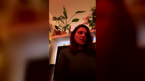 GoToyShop online show from February 2026 10:06:01 PM