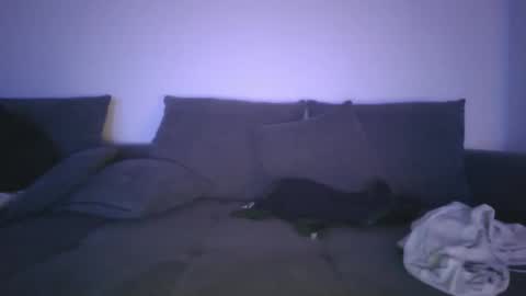 Tim online show from December 2024 05:43:02 PM