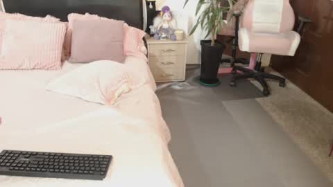 Traci online show from December 2024 03:33:02 PM