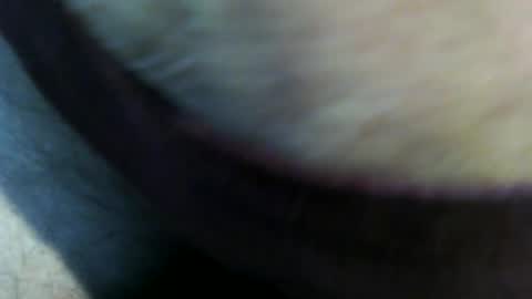 trailblazer1969 online show from June 2026 10:37:01 PM