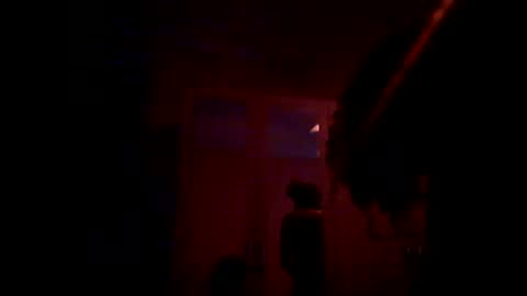 Snapshot of transexblackfat chatting on February 2025 04:42:01 AM transexblackfat online show from February 2025 04:42:01 AM