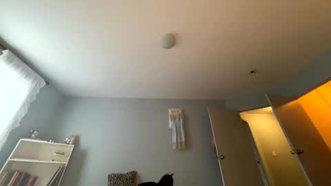transgirl007 online show from May 2026 10:04:02 PM