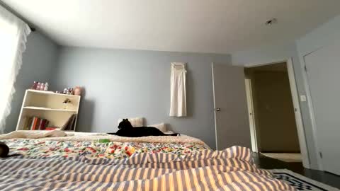transgirl007 online show from May 2026 09:12:01 PM