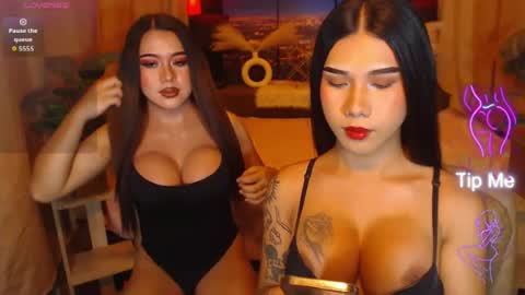 transpornidol online show from July 2026 10:24:01 AM