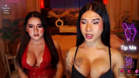 transpornidol online show from July 2026 04:43:02 AM