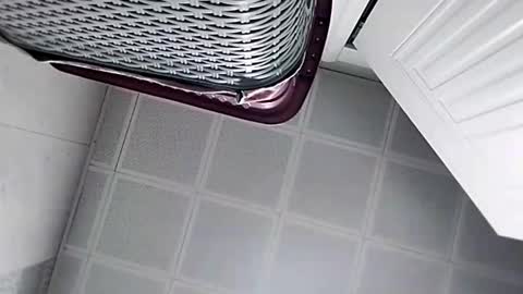 Big Head Cock online show from May 2026 09:36:02 AM