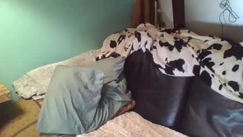 trashdiamond online show from April 2026 08:12:02 AM