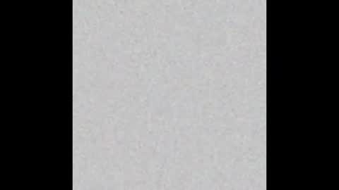 travt91 online show from November 2025 05:52:02 AM