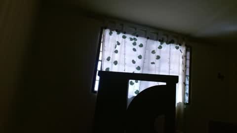 trebol_4 online show from May 2026 02:57:02 PM