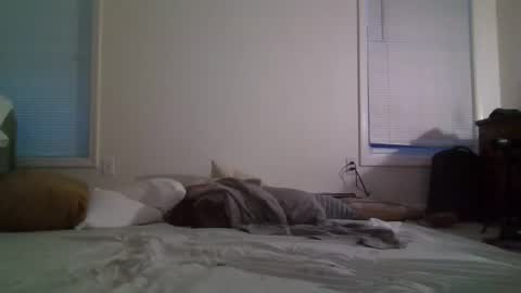 trickquestion online show from February 2025 11:44:02 AM