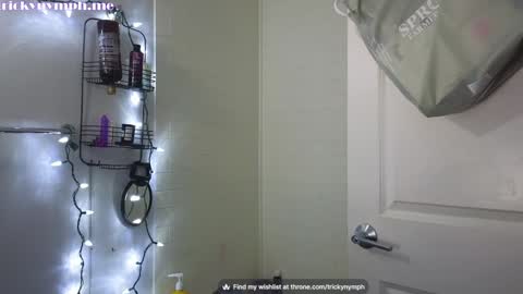 Snapshot of tricky_nymph chatting on December 2024 09:33:01 AM Cassie online show from December 2024 09:33:01 AM