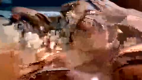 Snapshot of trigood chatting on February 2025 02:01:01 AM trigood online show from February 2025 02:01:01 AM