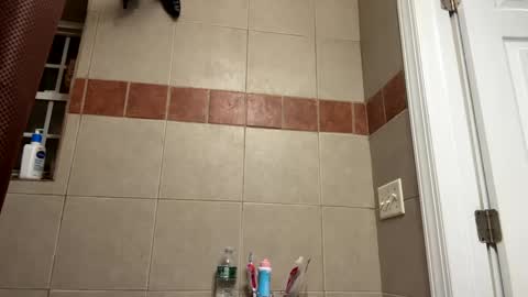 WapBopper online show from February 2025 12:06:01 AM