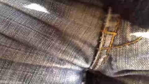 trobelle online show from November 2025 11:36:02 AM