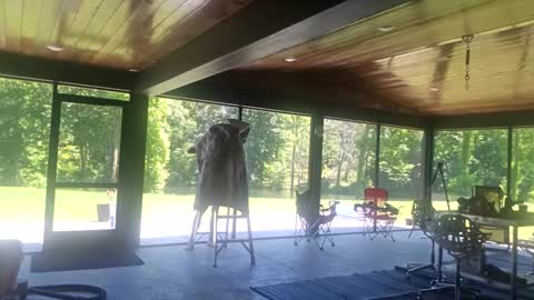 trojanswingers online show from June 2026 06:32:02 PM