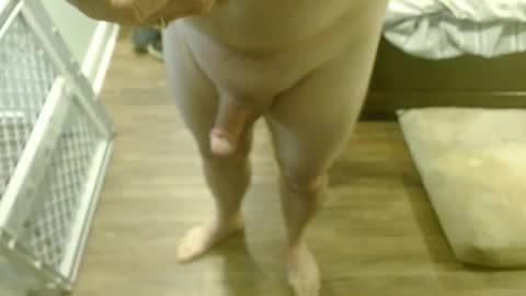 troy1965 online show from February 2025 03:27:02 PM