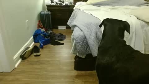 troy1965 online show from September 2025 04:39:02 AM