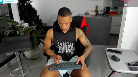 Snapshot of troywesly_ chatting on January 2026 04:45:02 PM Troy wesly online show from January 2026 04:45:02 PM